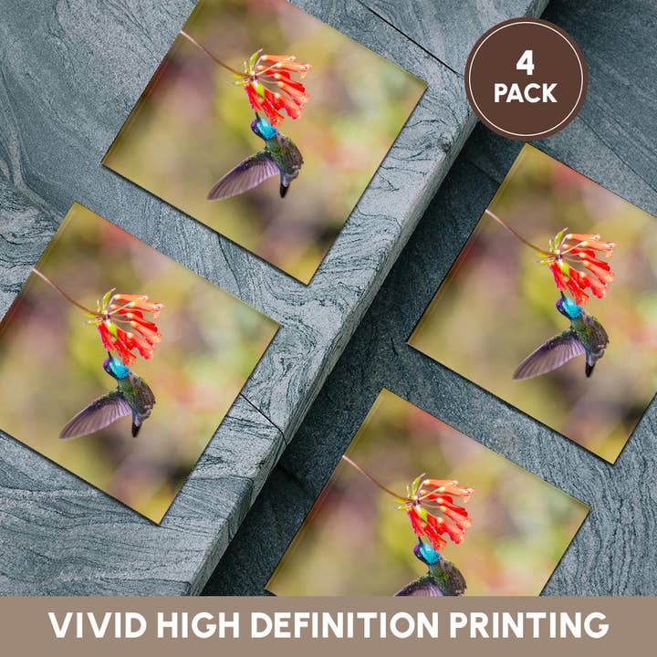 3dRose - Wholesale Coasters - 3dRose, Costa Rica. Male talamanca hummingbird feeding, Coaster5