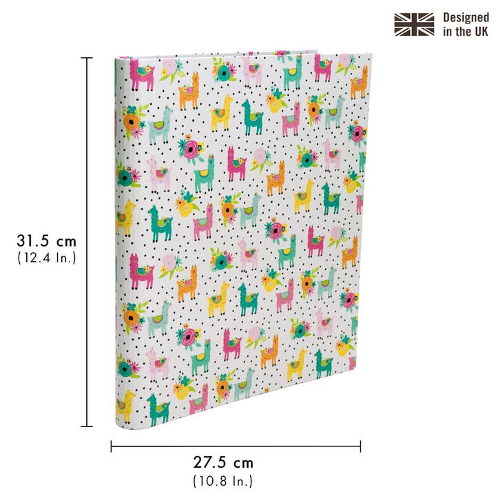 Pukka Pads North America - Wholesale Binder - Carpe Diem Preloaded Rollbound Binder