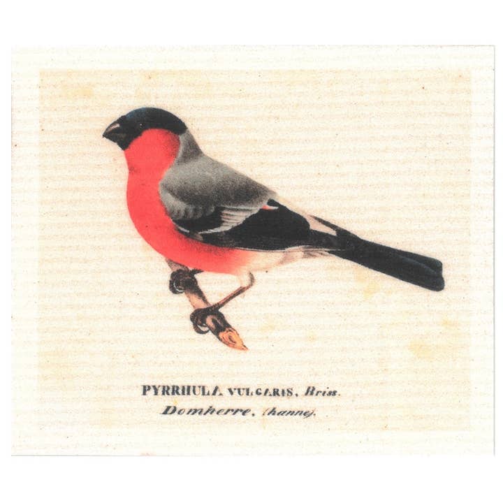 Museu Arte Pano de Prato Tentilhão-de-peito-ruivo Macho por atacado de More Joy Home