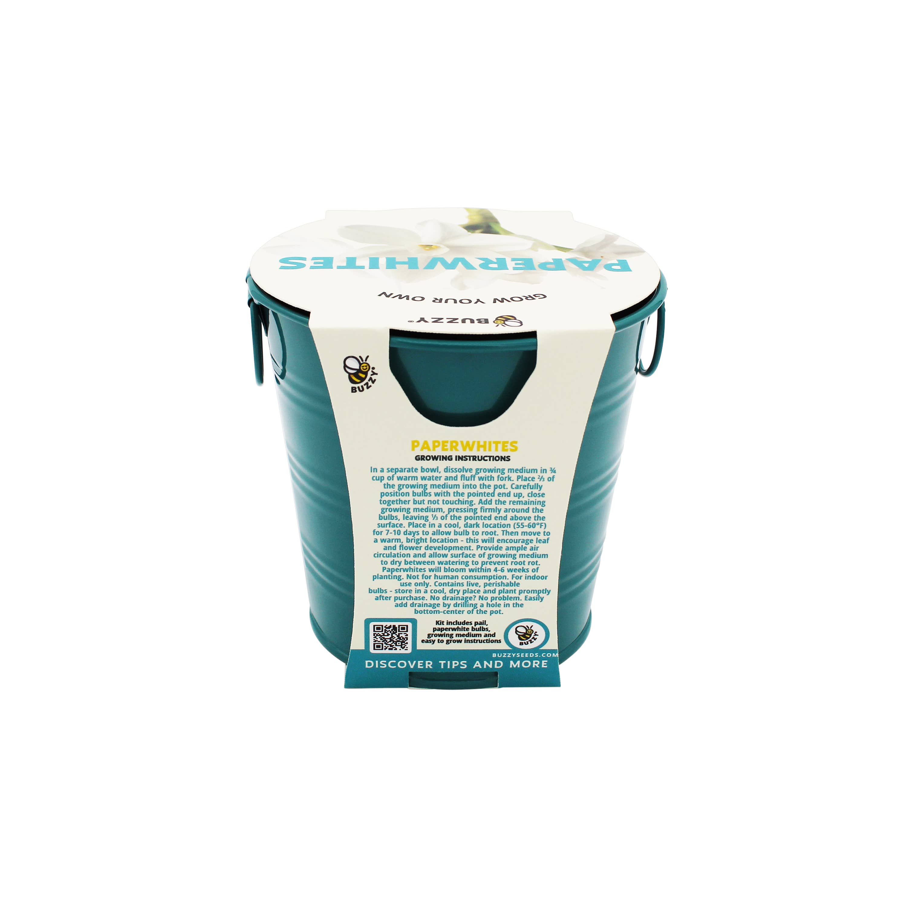Buzzy Seeds Grow Gifts - Vente Graines de plantes - Seau de Croissance de Narcisses de Noël – Kit Cadeau de Fleurs d'Hiver3