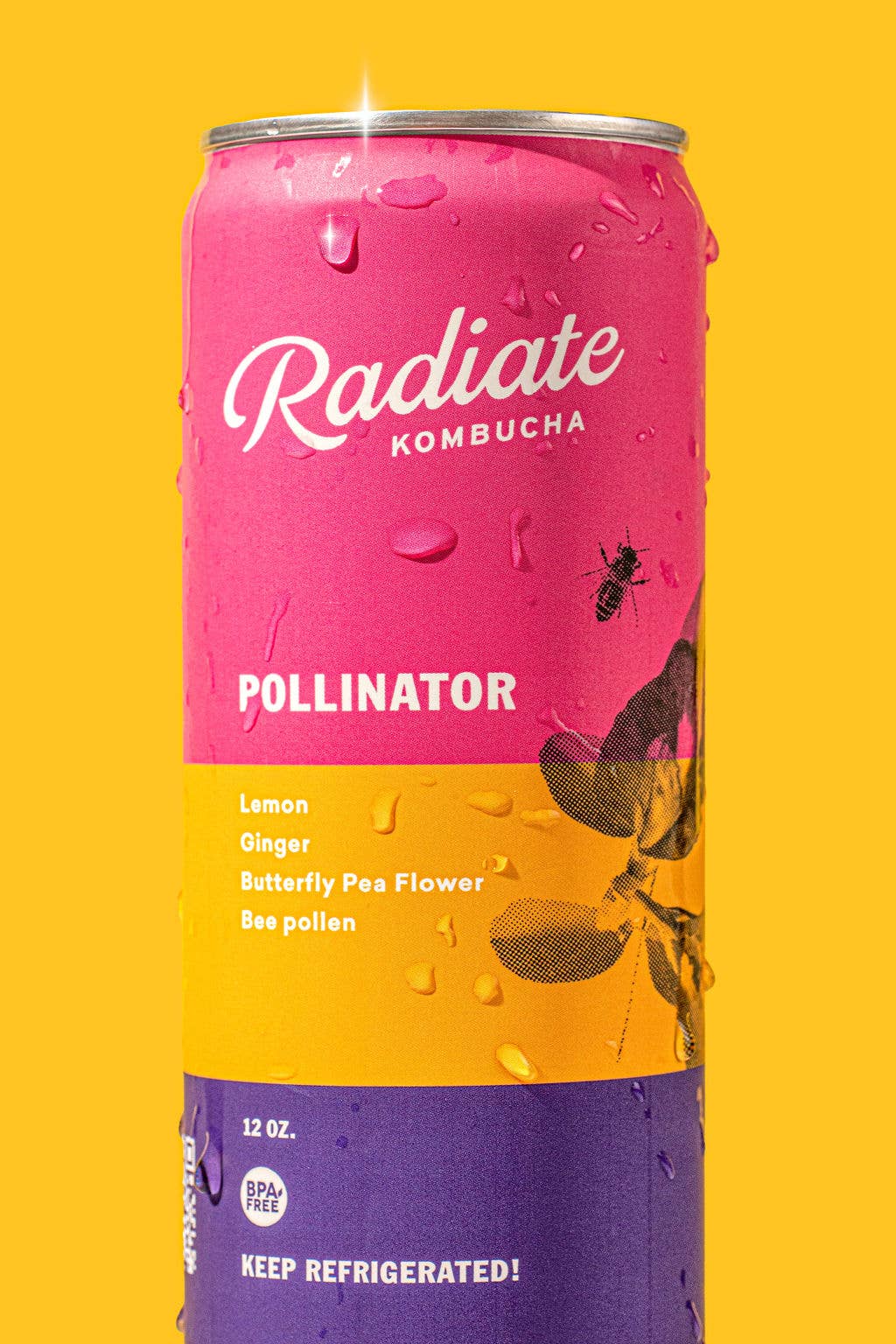 RADIATE MIAMI - Vente Kombucha - Kombucha Pollinator6