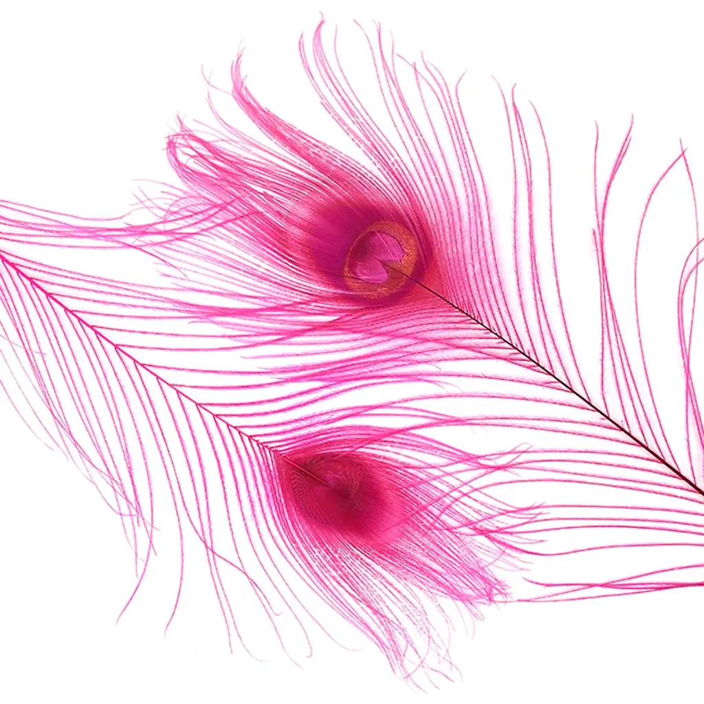 Zucker Feather Products – wholesale Craft supplies – Peacock Tail Eyes Bleached Dyed - Shocking Pink2
