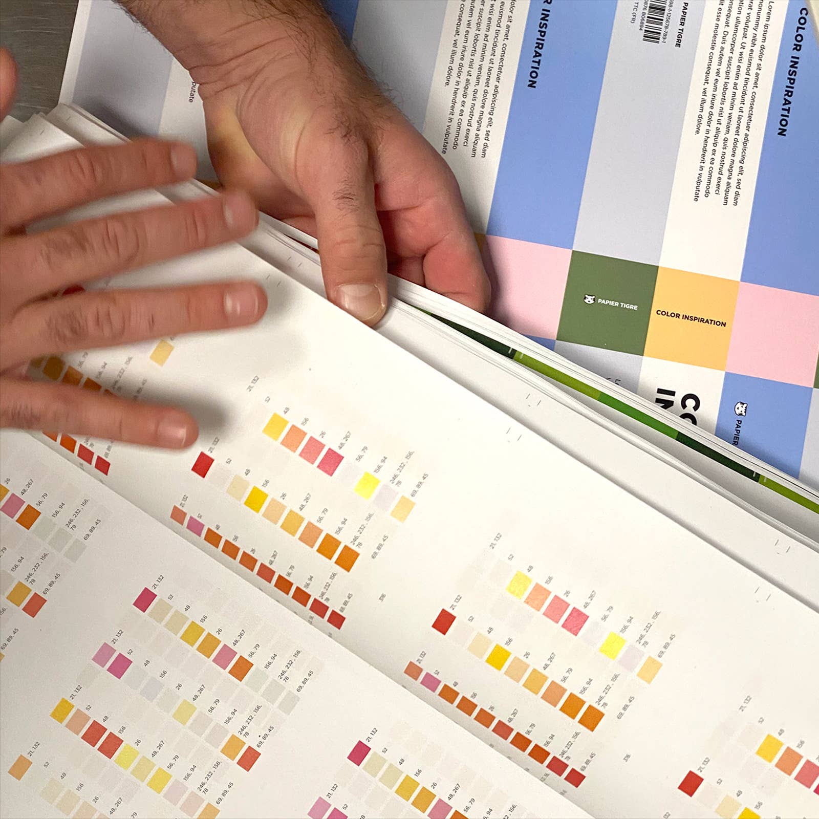 Papier Tigre - Wholesale Display Book - Color Inspiration Book6