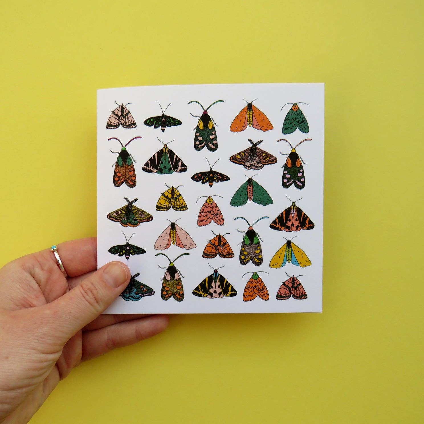 Kathryn Churn Designs – wholesale Everyday greeting card – Moths 5" Square Greetings Card0