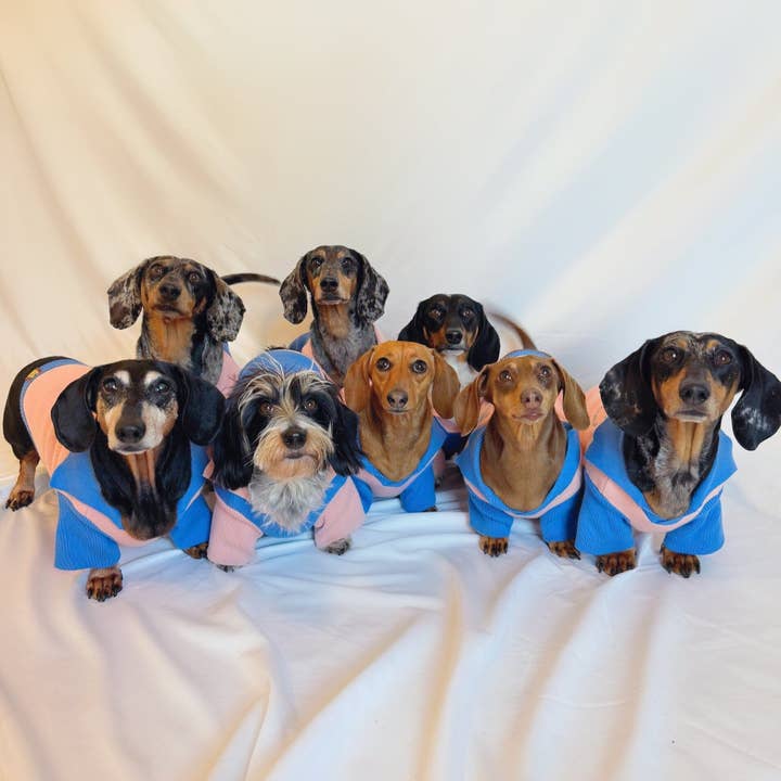 The Weens Dog Polo Pullover for wholesale by Sunbean