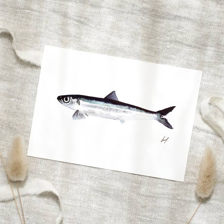 Postcard - Fish for wholesale by Leo La Douce GmbH