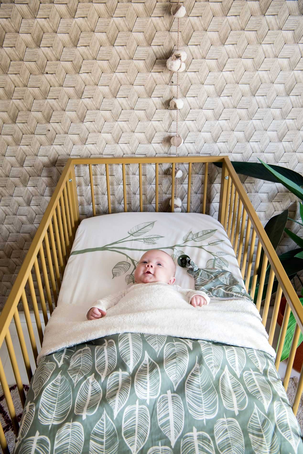 Witlof for kids – Lençol com elástico - Crianças e bebés por atacado – Lençol de baixo 70x145 Beleaf Sage Green2