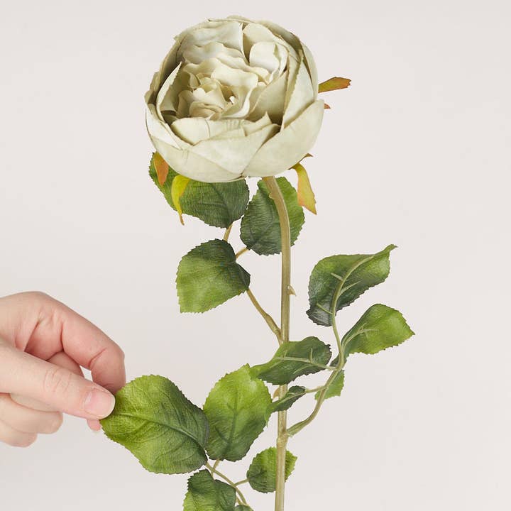 Factory Direct Craft - Wholesale Artificial Flowers - 30" Artificial Cabbage Rose Flower Stem - Select Color 3