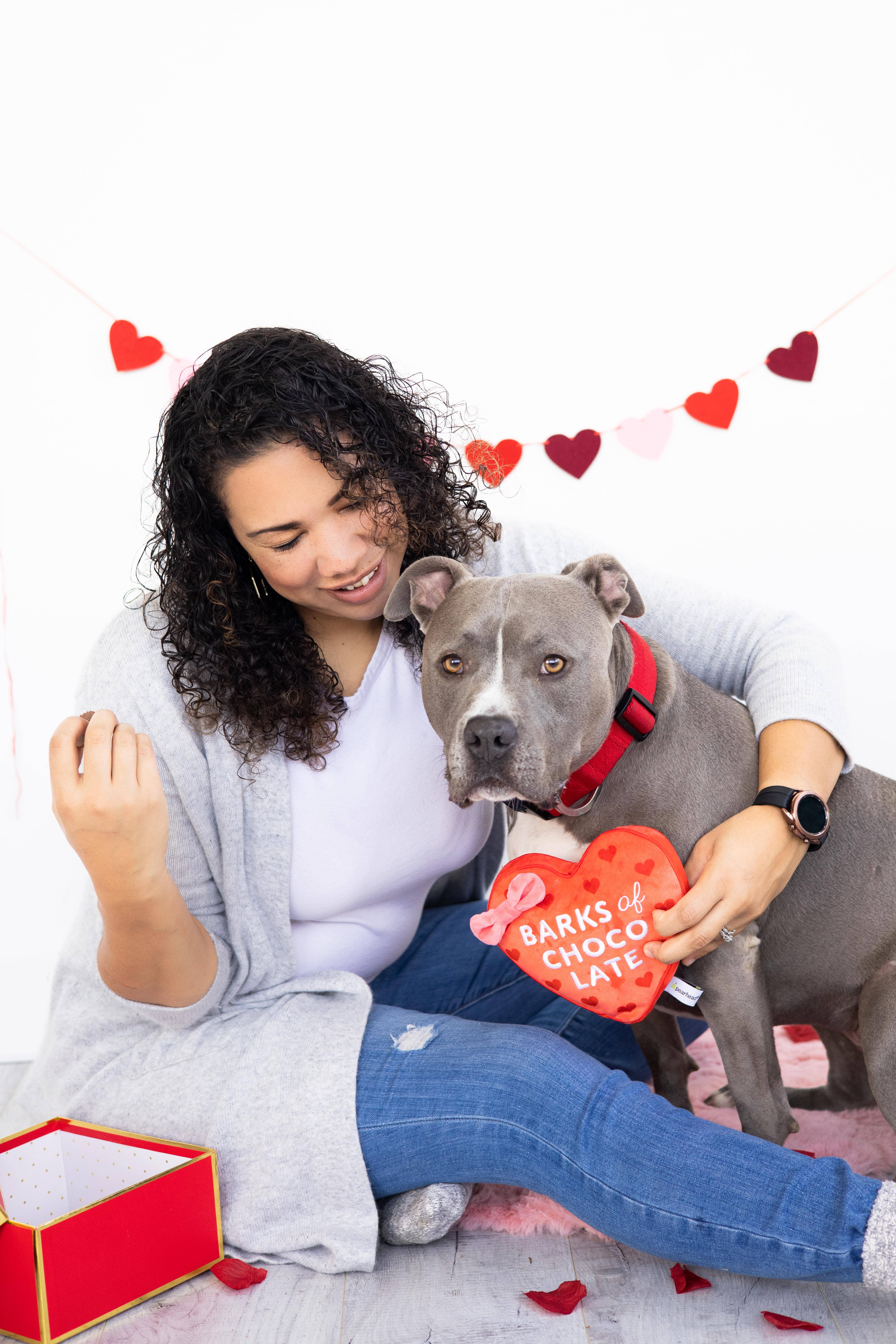 Pearhead - Wholesale Pet Plush Toy - Dog - Barks of Chocolate Plush Dog Toy2