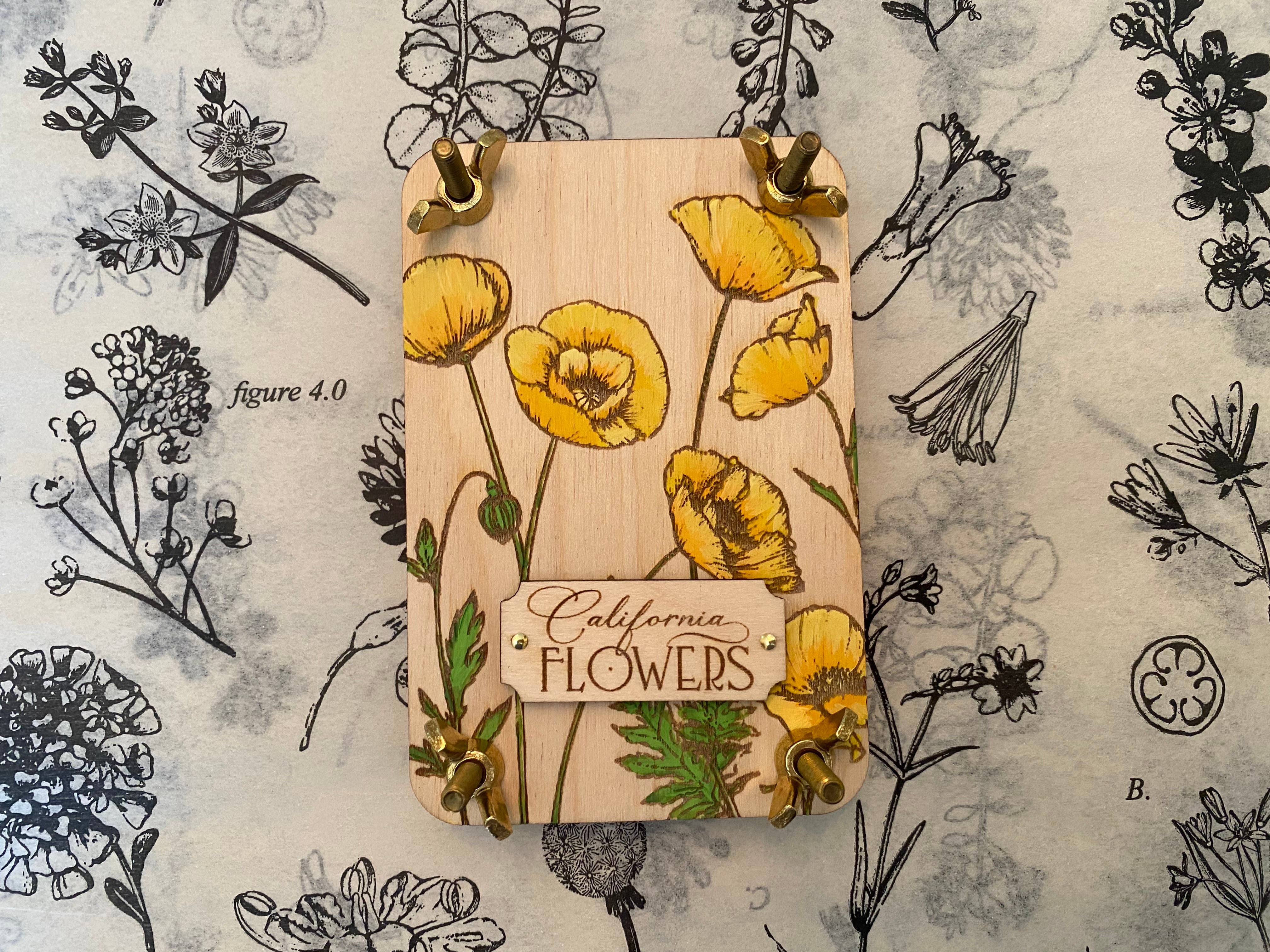 Holly Hills Lane - Wholesale DIY Craft Kit - Hand Painted State Flower Pocket-Size Flower Press1