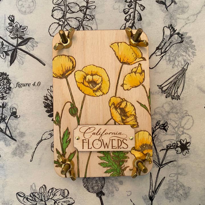 Holly Hills Lane - Wholesale DIY Craft Kit - Hand Painted State Flower Pocket-Size Flower Press1