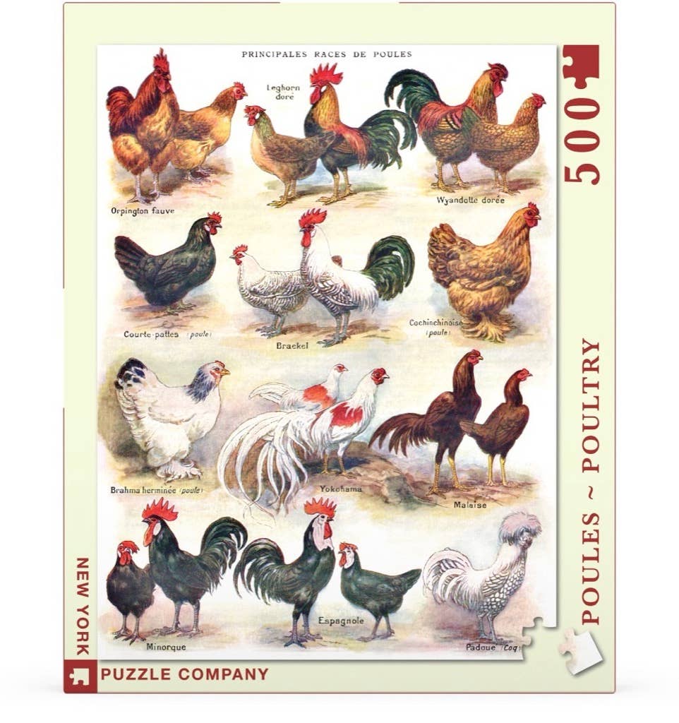 New York Puzzle Company EU – Engroshandel Puslespil - Voksen – Poules ~ Poultry - 500 brikker puslespil1