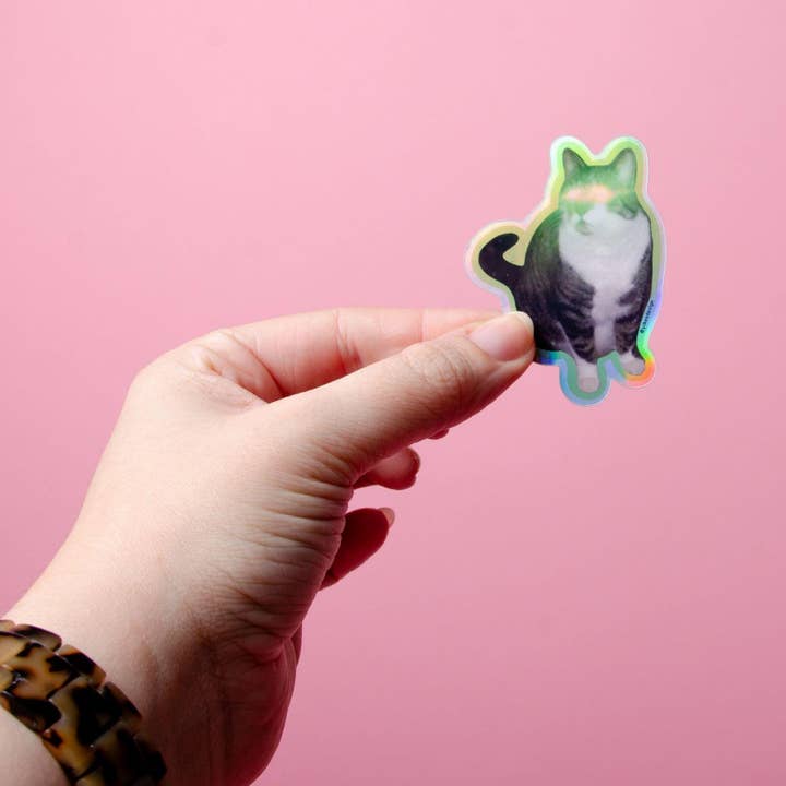 Yikes Design - Vente Autocollant - Autocollant drôle de chat Lazer Booty (imperméable et résistant aux UV)