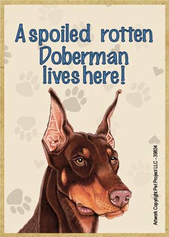 SJT Enterprises, Inc. – Íman por atacado – Um Doberman mimado podre (Brown) vive aqui!0