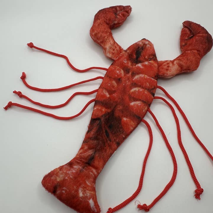 Steel Dog USA LLC - Wholesale Pet Toy - Cat - Cat Toy - Lobster