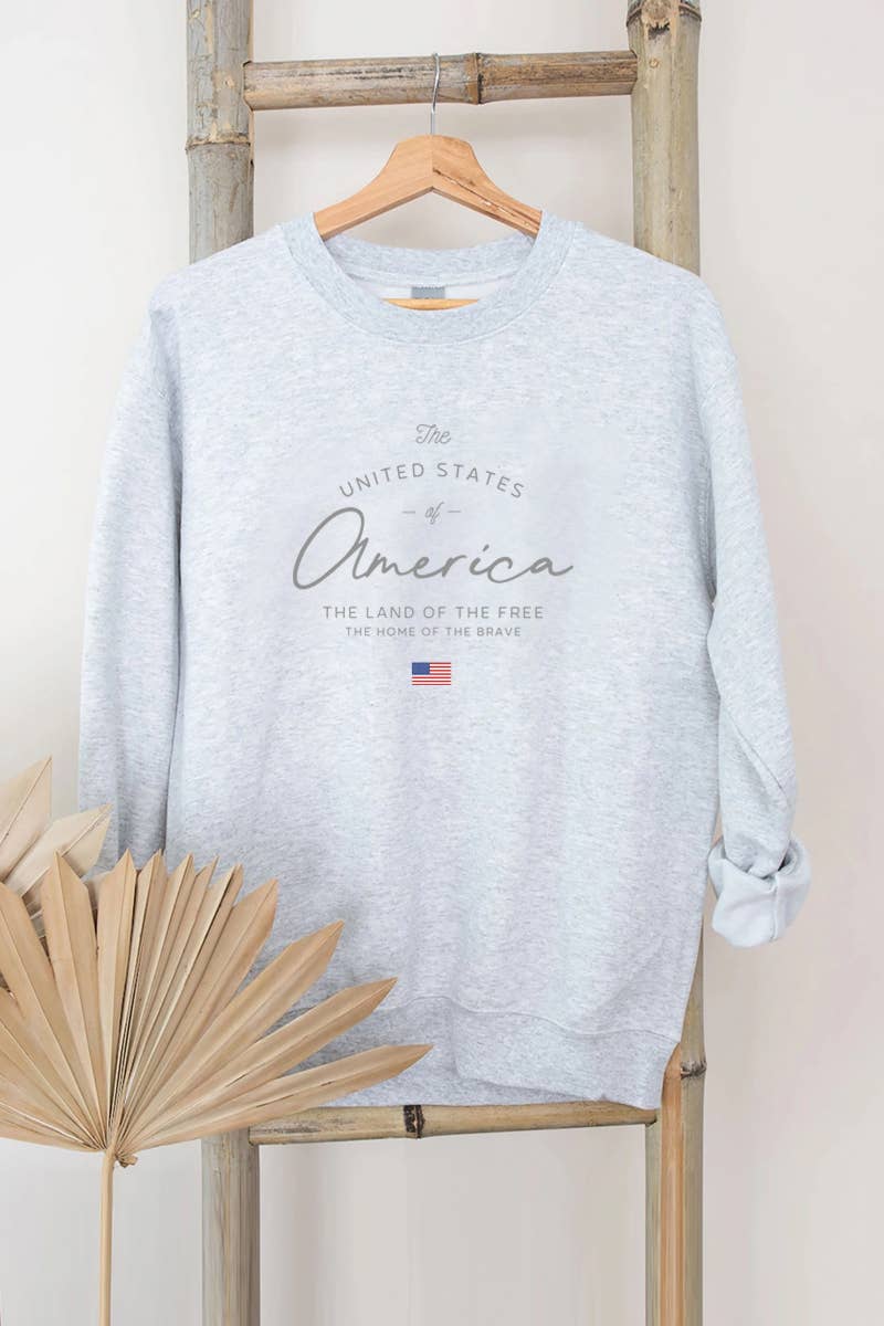 PINK NABI – wholesale Graphic sweatshirt – Women’s – PNSS-Y4261 The United States of America Printed Sweatshirt2