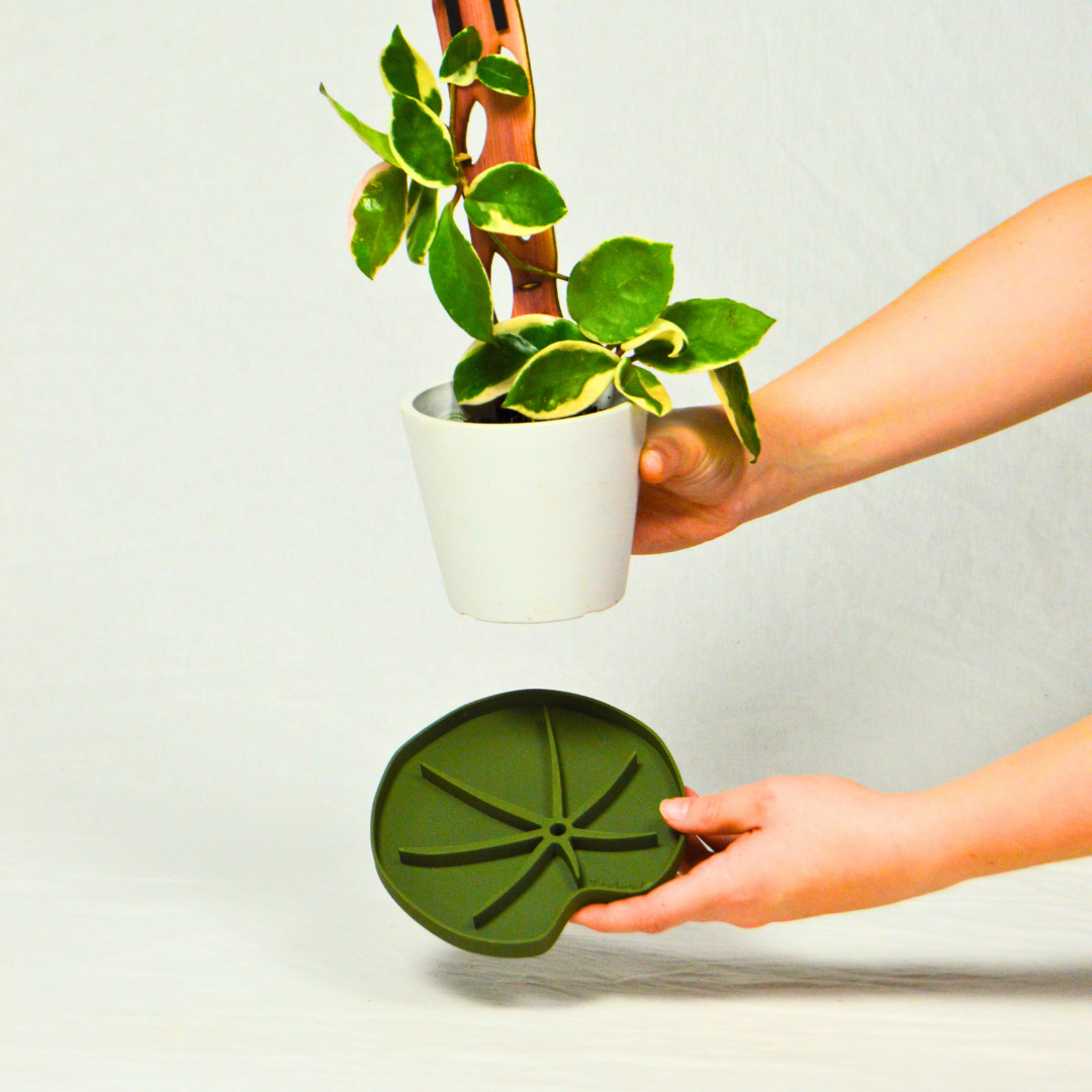 Treleaf - Wholesale Plant pot - Lili Sausr - Lilly pad shaped Saucer - Spill tray - Drip tray for houseplants - Humidity tray9