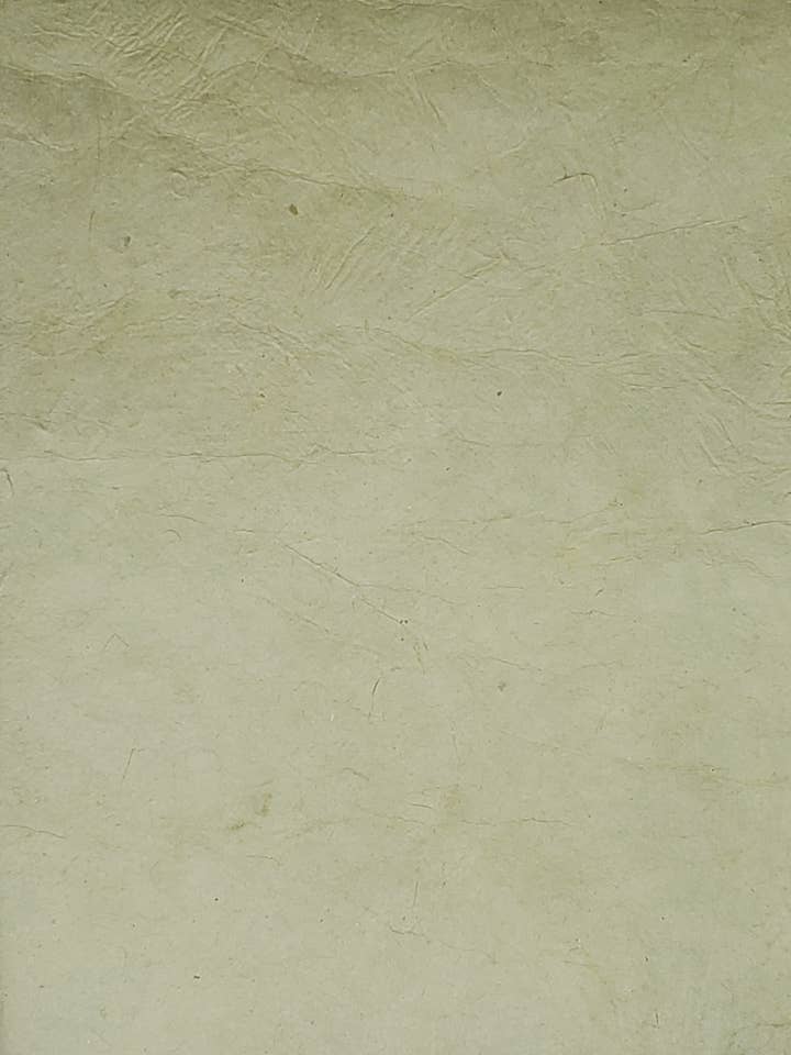 Lokta Dyed Sage for wholesale by Aitoh Company