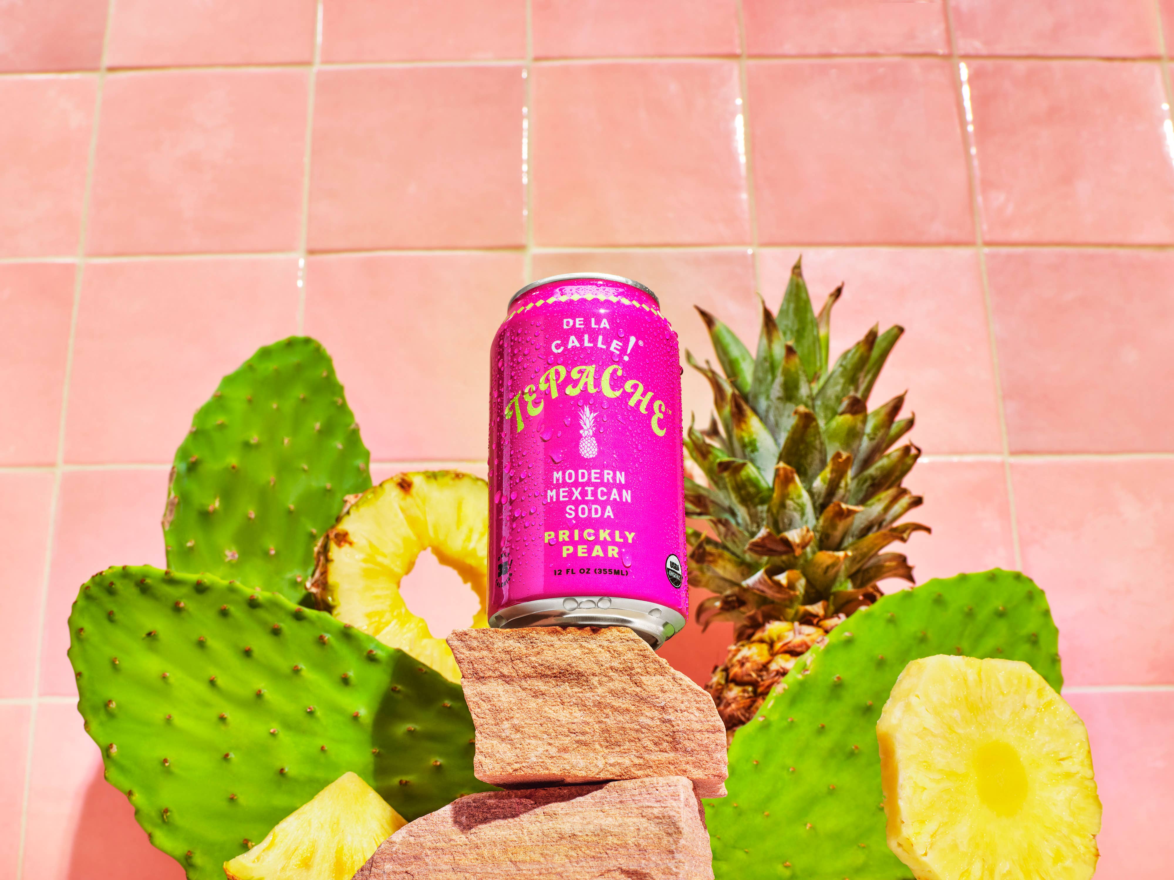 De La Calle - Wholesale Soda/Carbonated Drink - De La Calle Cactus Prickly Pear Tepache Fermented Beverage (12 Pack)