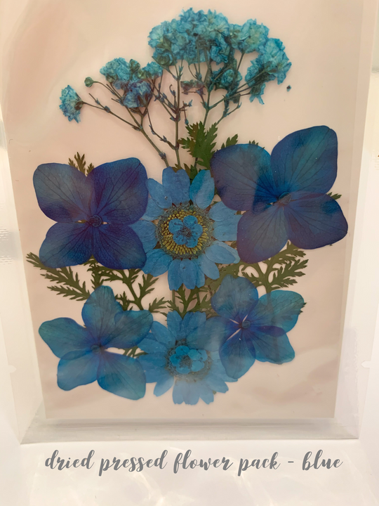 The Glitter Hut – wholesale Dried/pressed flowers – Dried Pressed Flower Pack - Blue0