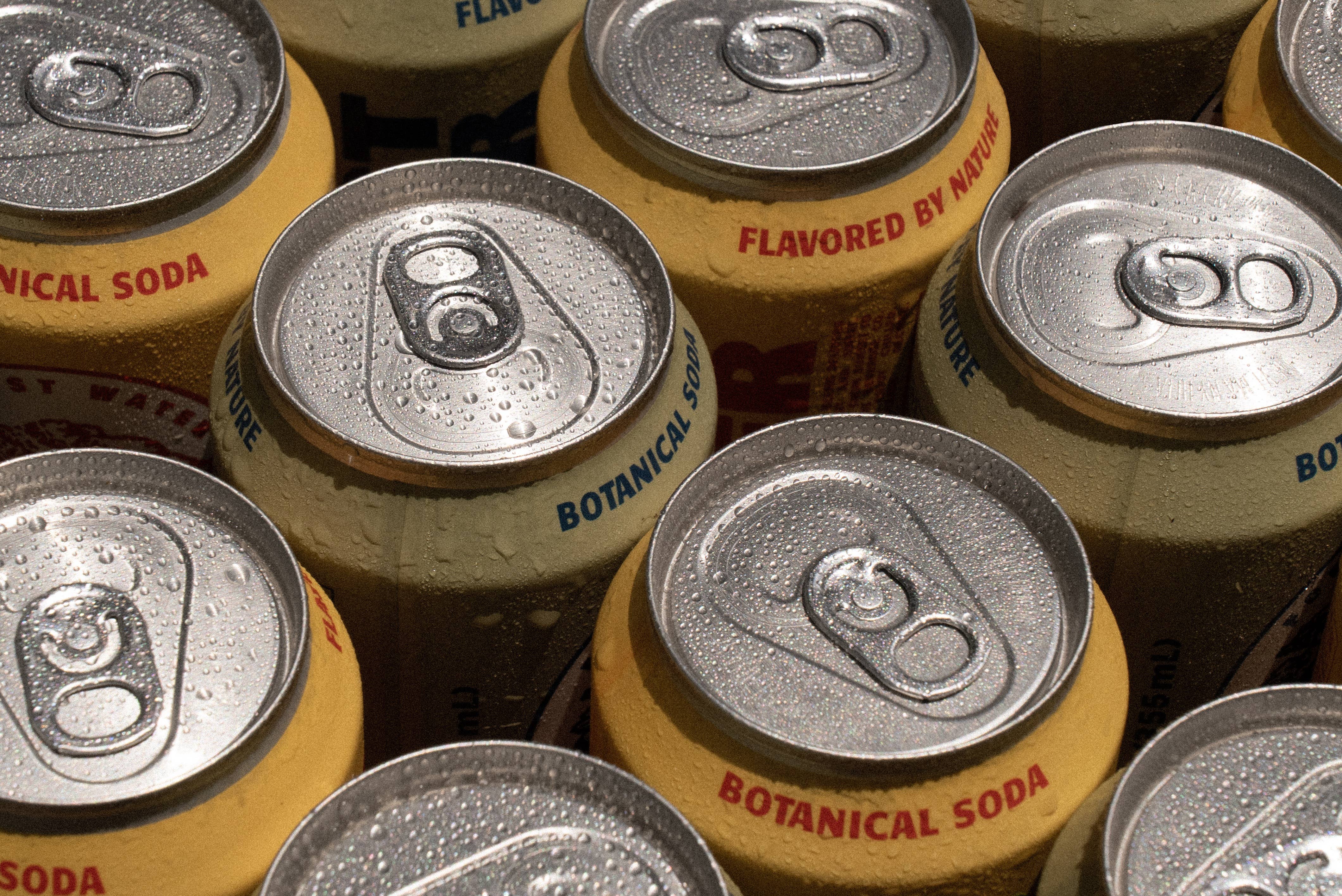 Walker Brothers - Vente Sodas/boissons gazeuses - Pack de 24 Sodas Botaniques Sans Alcool Forest Water – Variété3