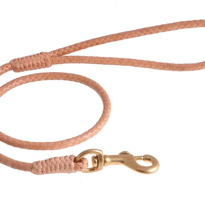 Alvalley - Wholesale Pet Leash - Dog - Braided Leather Snap Leads34