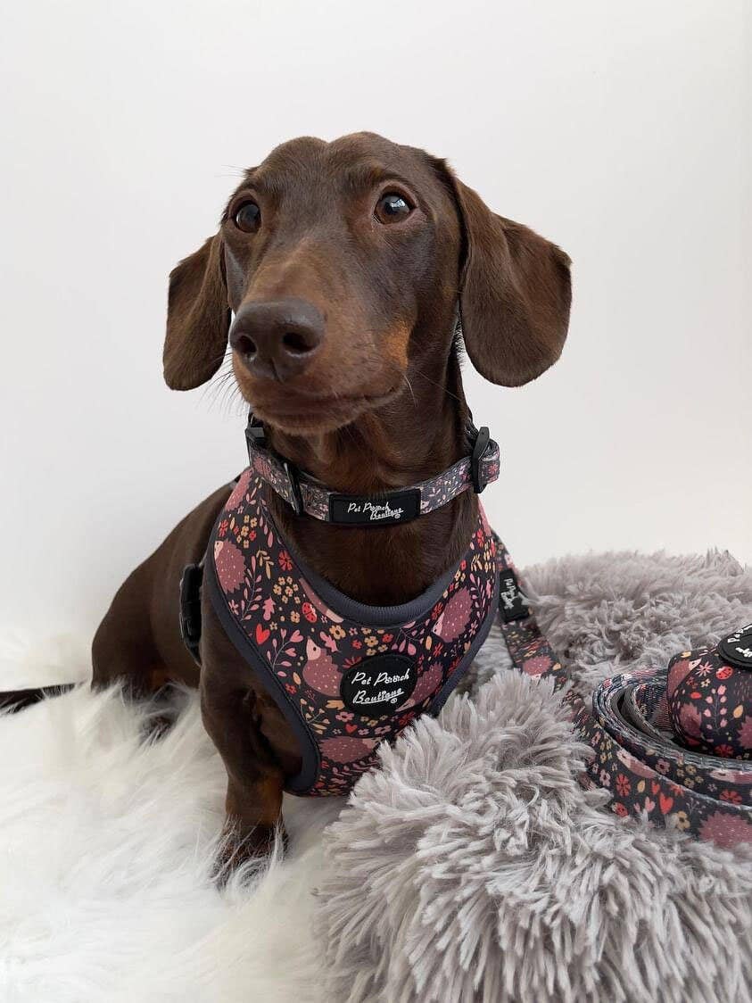 Pet Pooch Boutique – Engroshandel Hundeposedispenser – Woodland Hedgehog Dog Poo taskeholder* Gratis rulle poposposer1