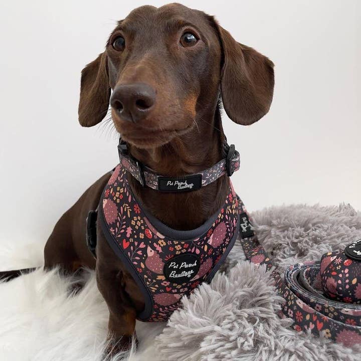 Pet Pooch Boutique - Wholesale Pet leash – Dog - Woodland Hedgehog Dog Lead (autumn/animals)1