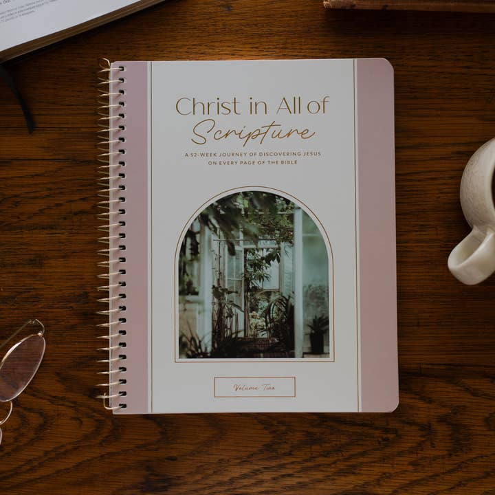 Christ in All of Scripture | Volume 2 for wholesale by The Daily Grace Co