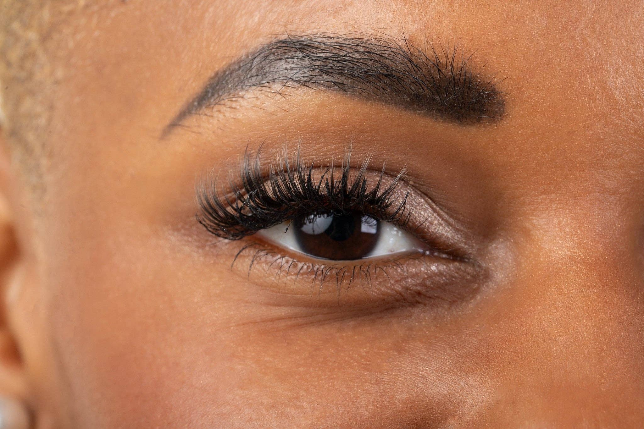 CocoLash - Wholesale False/Fake Eyelashes - Marigold