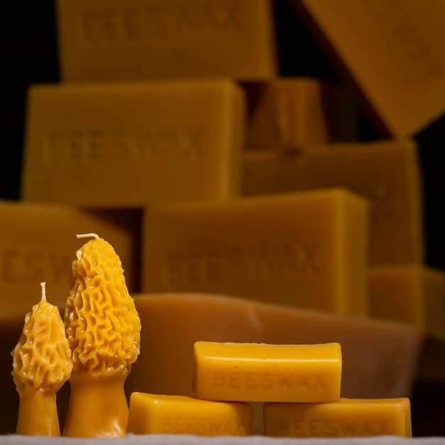 Waxing & Raining Handmade Goods - Wholesale Novelty Candle - Beeswax Morel Mushroom Candles | Beeswax Candle | Non-toxic