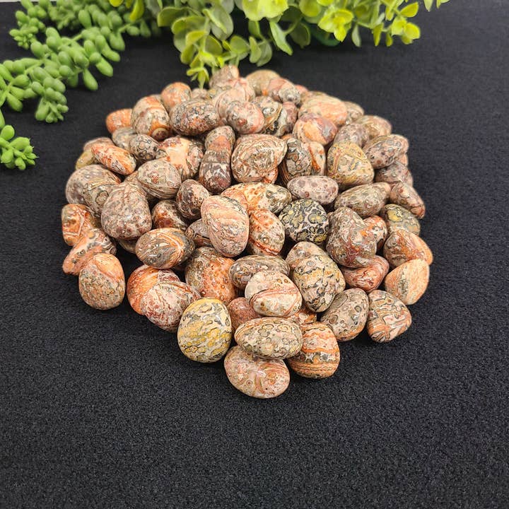 Jasper van luipaardhuid (1 kg/2,2 lbs.) Tumbled Stone 20-25 mm voor wholesale door Meraki Gemstones