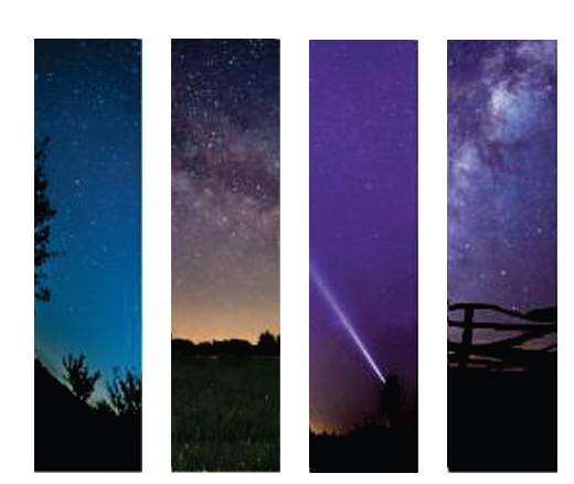 TPG Creations / The Pencil Grip - Wholesale Fidget Toy - Kids - Zen Strips - Sand Nature S6 TPG-8591