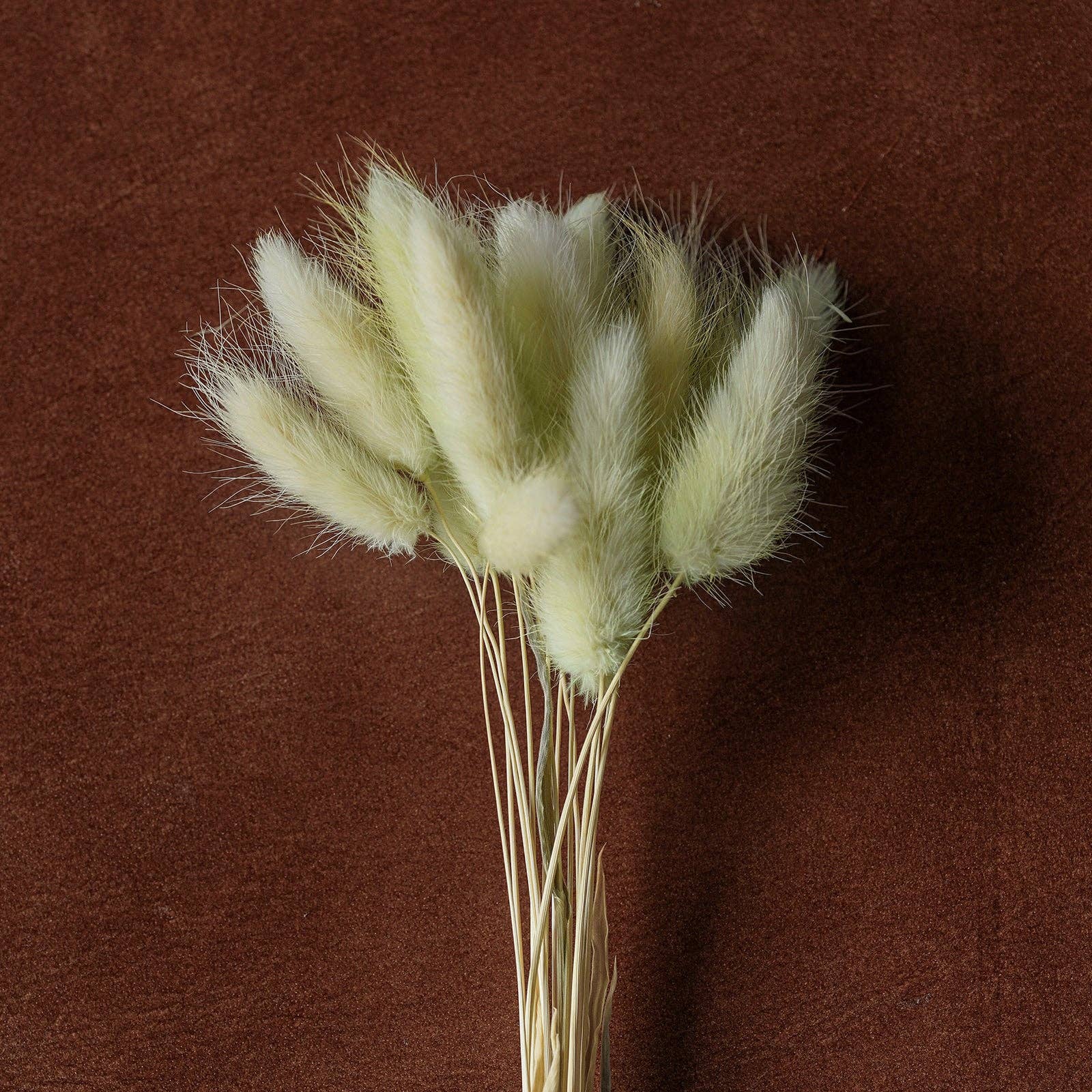 Blue Ocean Traders - Wholesale Dried/Pressed Flowers - Mixed Dried Grasses and Florals Multicolor, 12"6