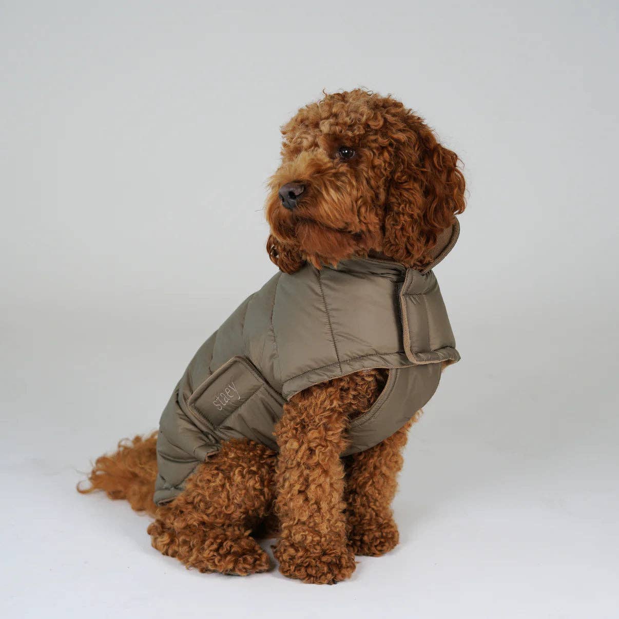 Staey - Wholesale Hondenjack - Hond - Nora Hondenjas | Taupe7