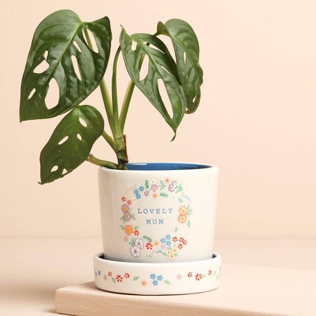 Floral Mum Plant Pot with Tray and other Purchase wholesale mothers day frame. Free returns & net 60 terms on Faire trending on Faire.