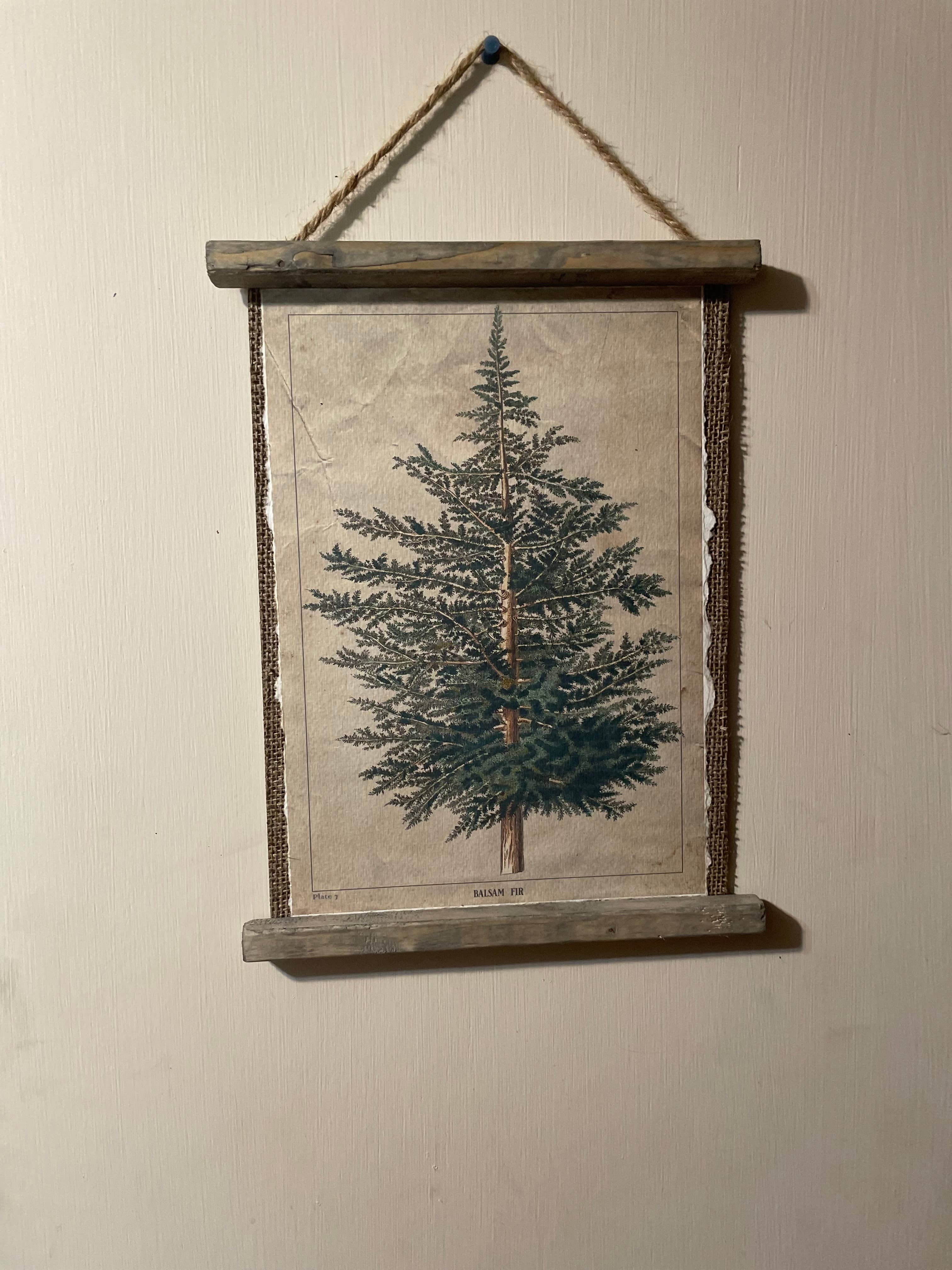 LAND OF COTTON - Wholesale Plaque - Balsom Fir Botanical Plate Plaque 0