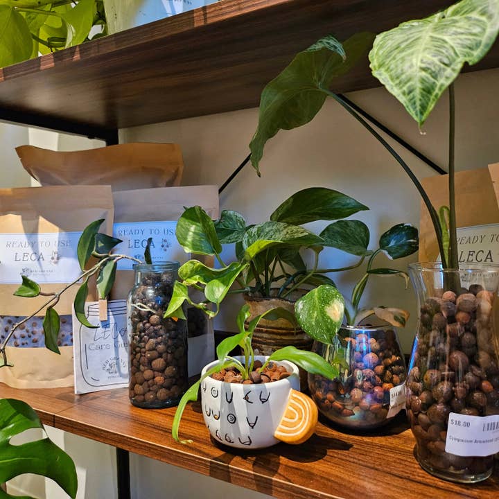 Bad Granny Botanicals - Wholesale Planting/Potting Soil - Ready to Use Leca - 1 Gallon2