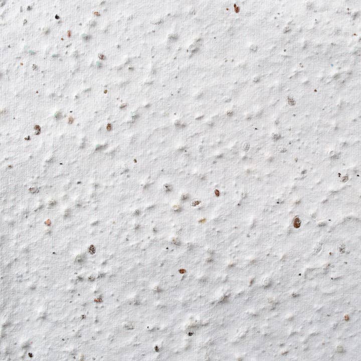 Sochizen – Engroshandel Kærlighedskort – Plantbar kærlighedsbudskabskort1