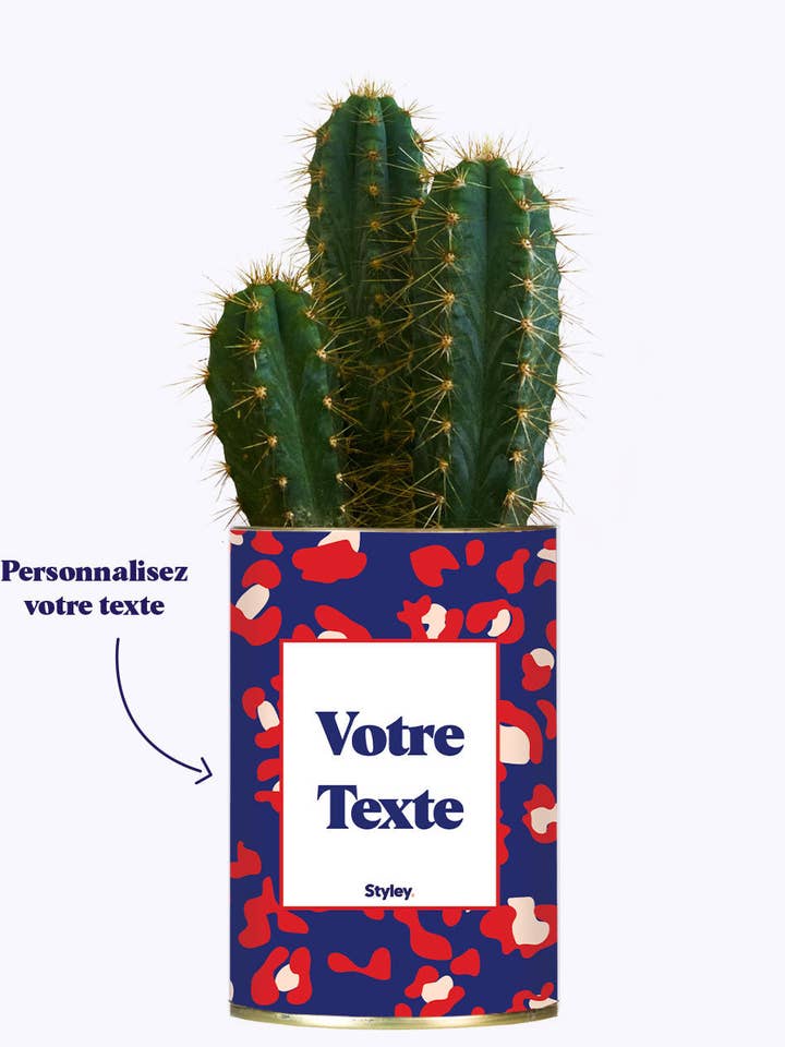 Cactus Lison - Personnalisable pour la vente par Styley