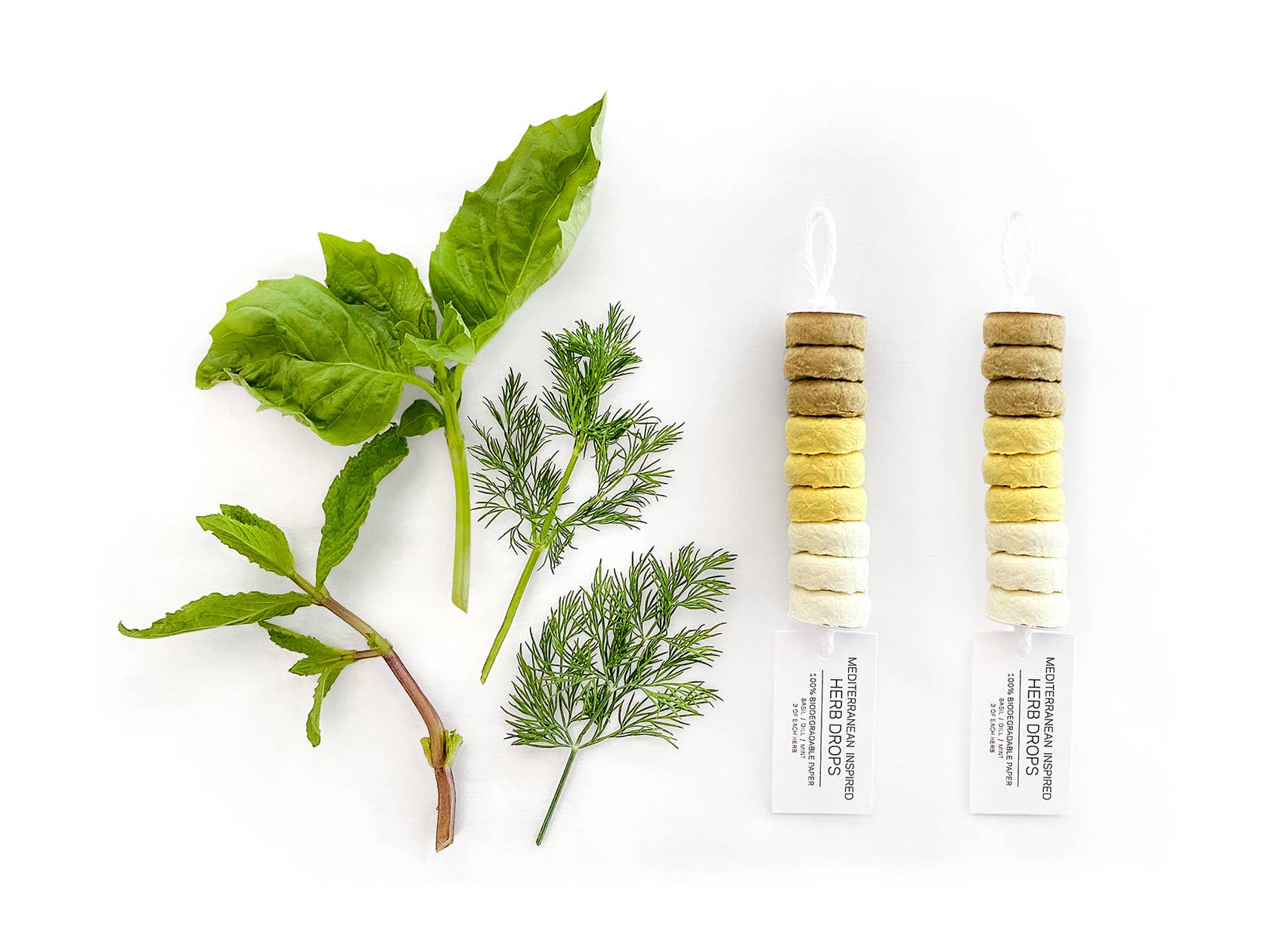 Studio 82° - Wholesale Plant Seeds - Herb Seed Drops - Mediterranean