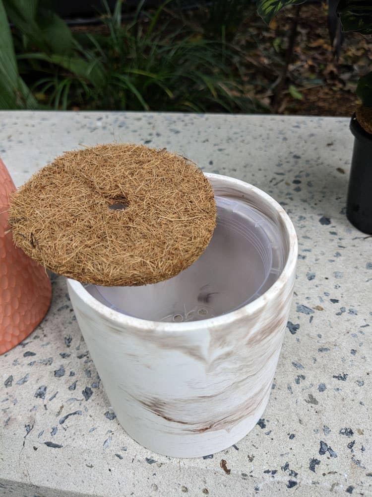 Eché pots - Wholesale Plant pot - Cylinder Indoor Plant Pot - Handmade in Australia14