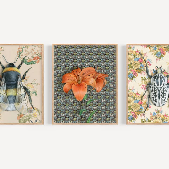 Emily Uchytil - Wholesale Art Print - Goliath Beetle - Fine Art Print - Insect Illustration - Gift6