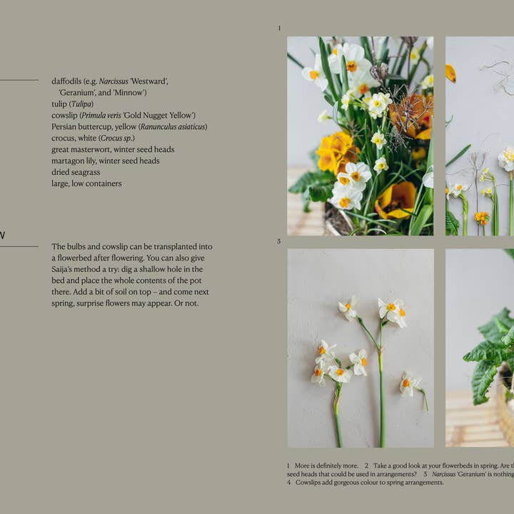 Cozy Publishing - Wholesale Book – Adult - The Potted Garden - All Year Round