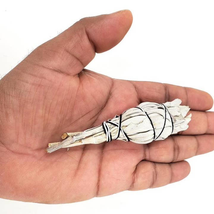Oily Blends - Wholesale Sage Bundle - Mini Sage Smudge Travel Kit with Abalone Shell and Feather