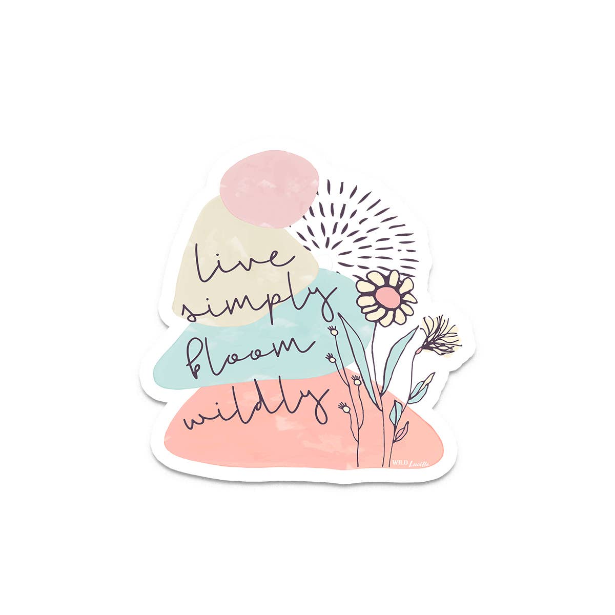 Wild Lucille x Decal Barn – wholesale Sticker – Positive Inspirational Sticker Decal Bundle - (50 Assorted)10