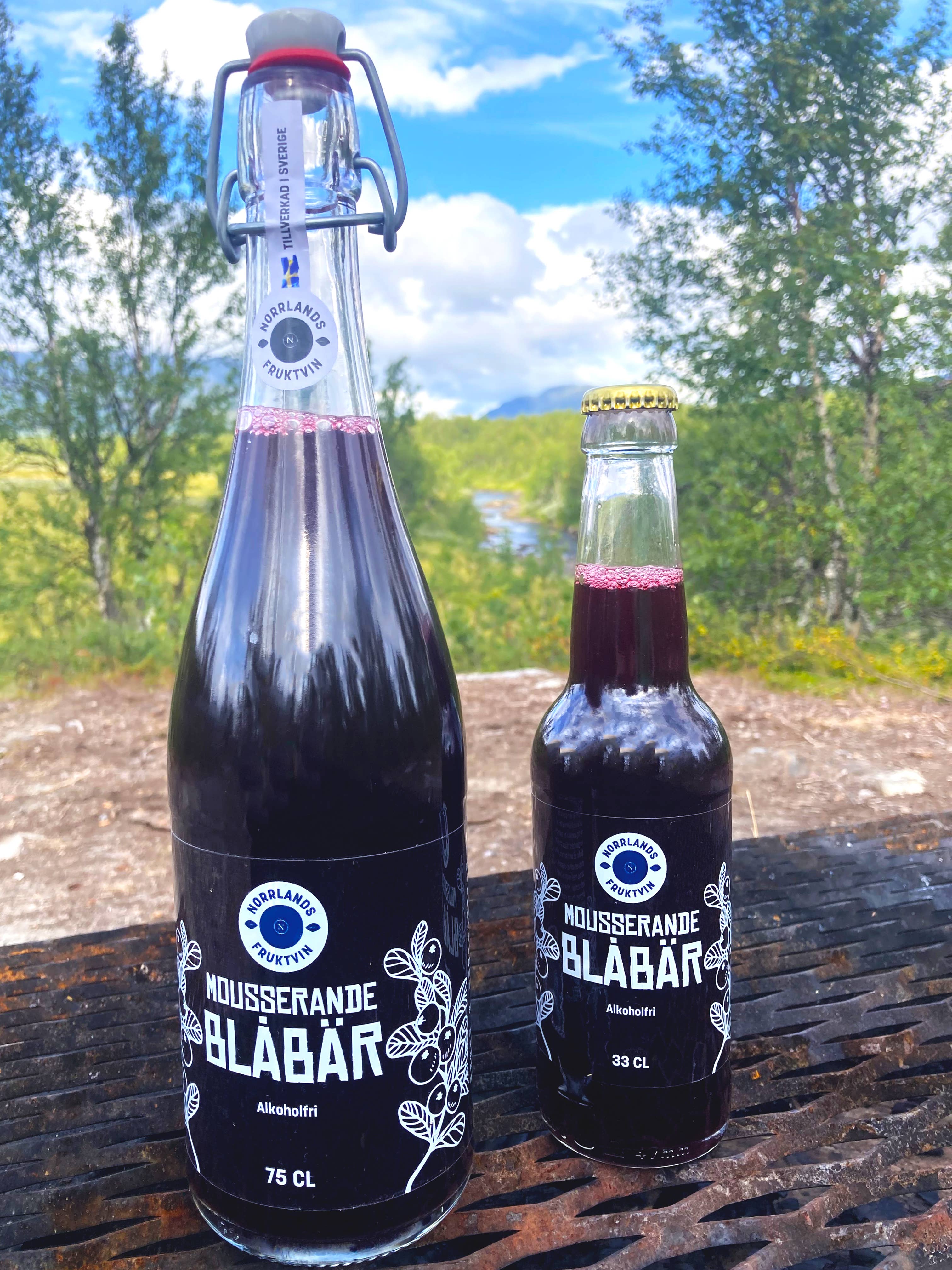 Norrlands Fruktvin - Wholesale Soda/Carbonated Drink - Mousserande Blåbär1