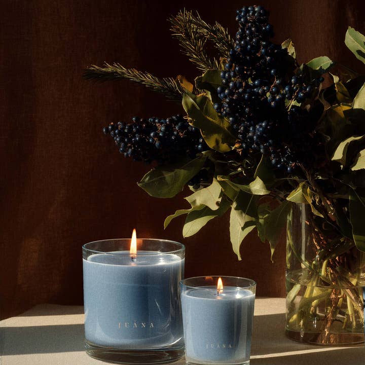 Juana - Wholesale Jar/Filled Candle - Cassis + Rosemary for Focus3