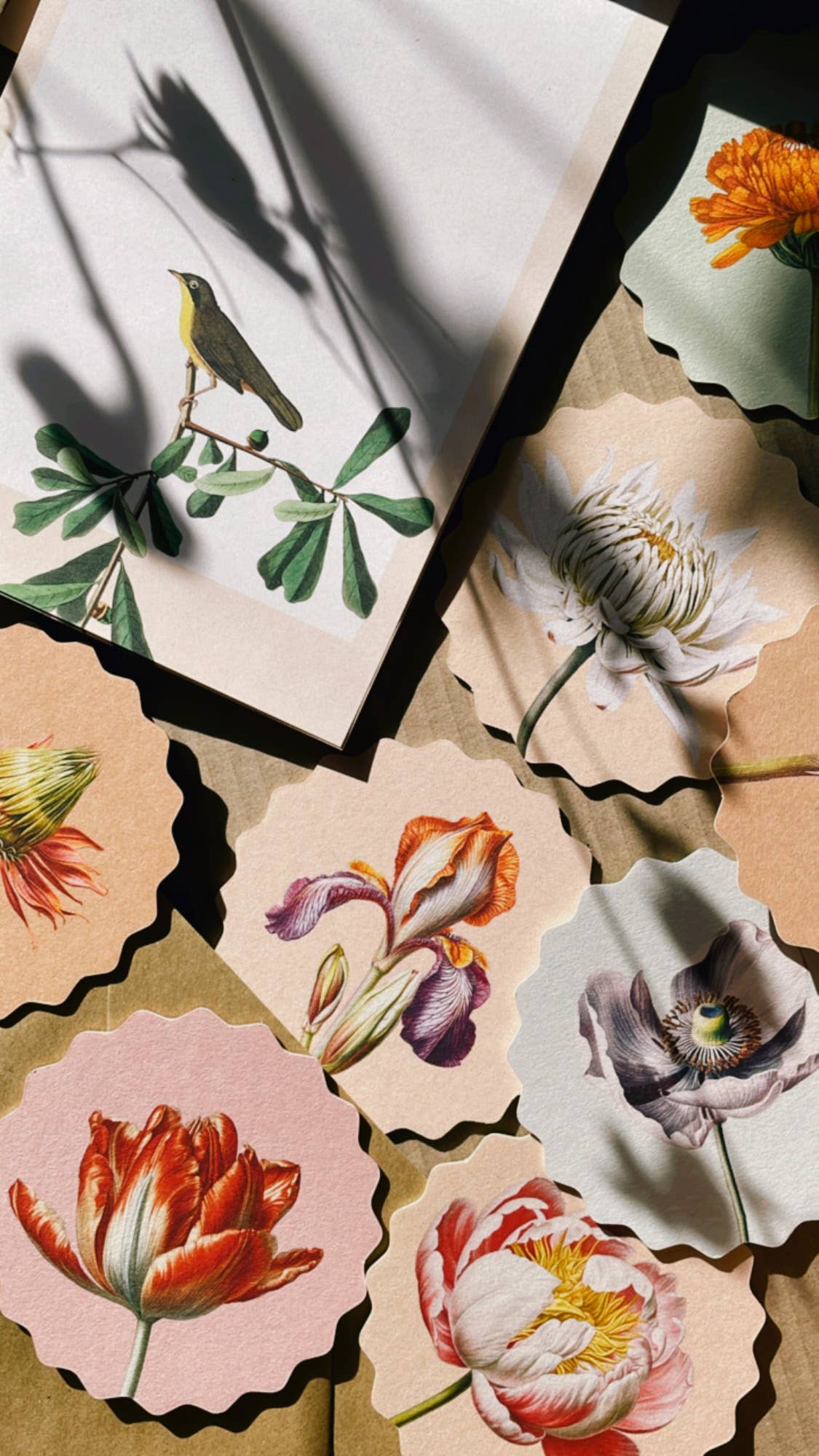 30x40 – Großhandel Untersetzer – Untersetzer-Set mit Blumenmotiven, Sternform14