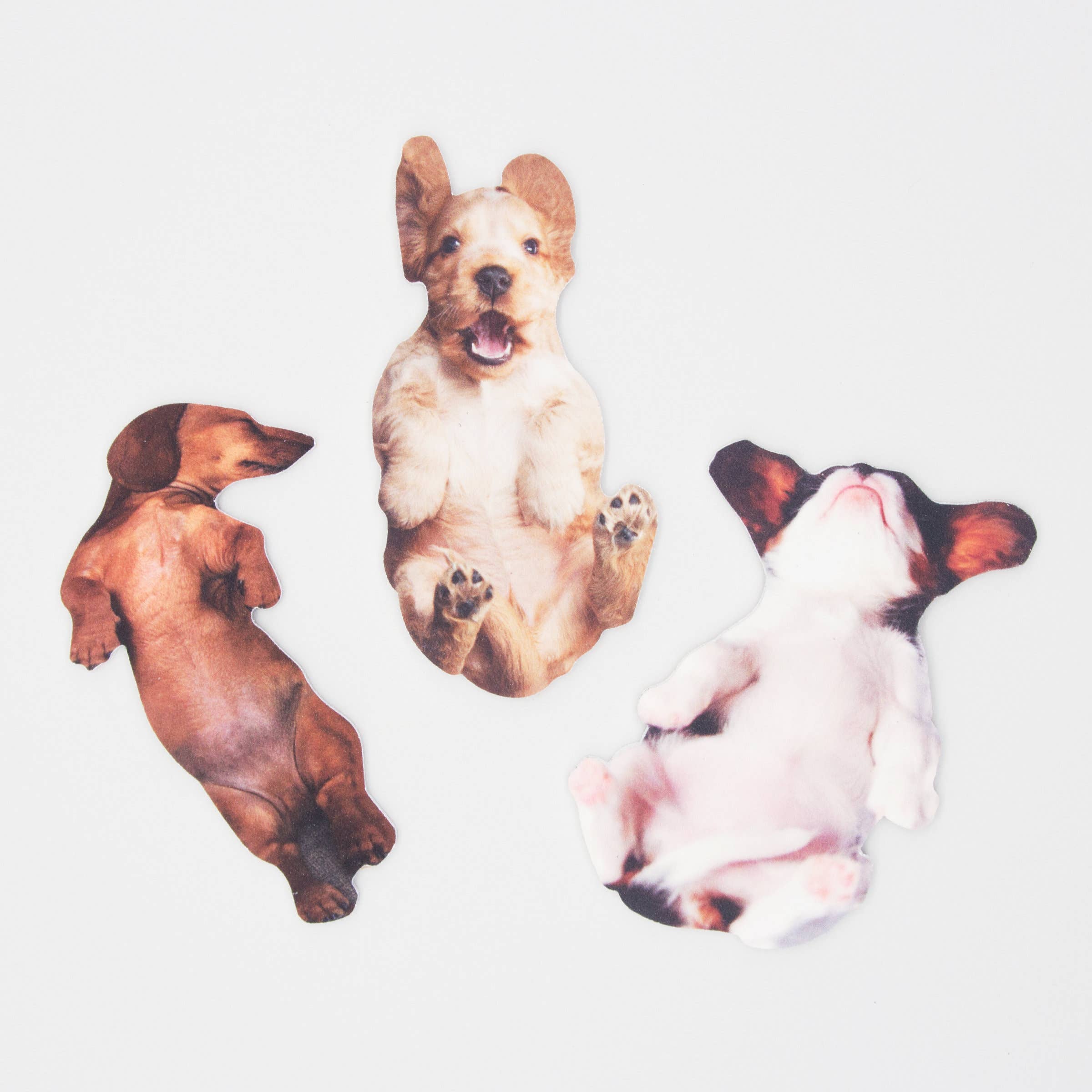 SUCK UK – Engroshandel Neglefil – Hund neglefil | Hund formet Buffering gave2